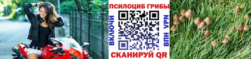 Галлюциногенные грибы ЛСД  купить   Кирово-Чепецк 